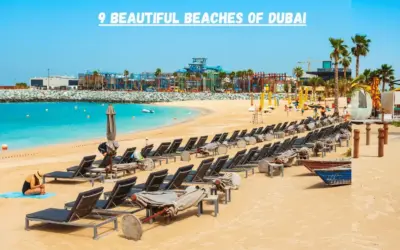 Hidden Gems: Discover The 9 Most Stunning Dubai’s Beaches in 2024.