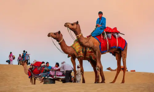 Camel Ride