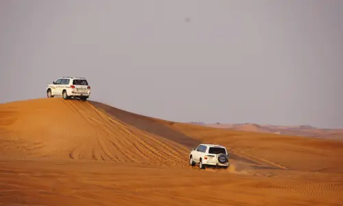Dune Bashing