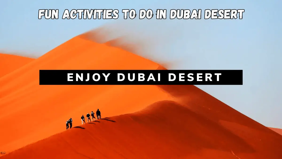 Fun Activities to do in Dubai’s Desert Banner Image Fun Activities to do in Dubai's Desert Banner Image