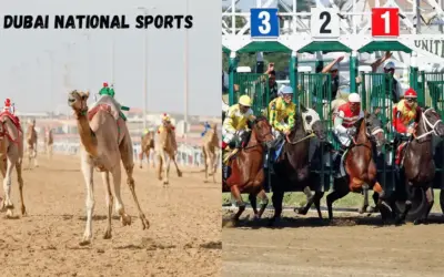 Everything You Need to Know about Dubai National Sports in 2024.