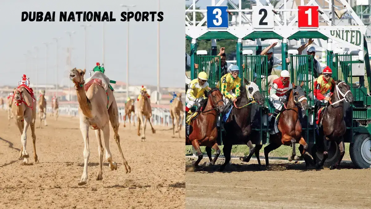 Dubai National Sports Dubai National Sports