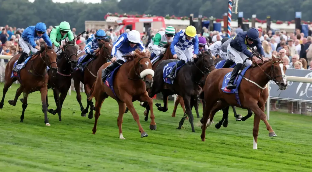 Horse Riding in Dubai