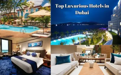 Top 5 Luxurious Hotels Near Dubai Airport Every Tourists Should Must Visit Once in 2024.