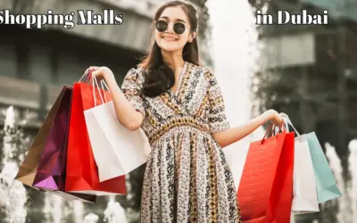 Top 10 Malls in Dubai for Every Shopping Enthusiasts.