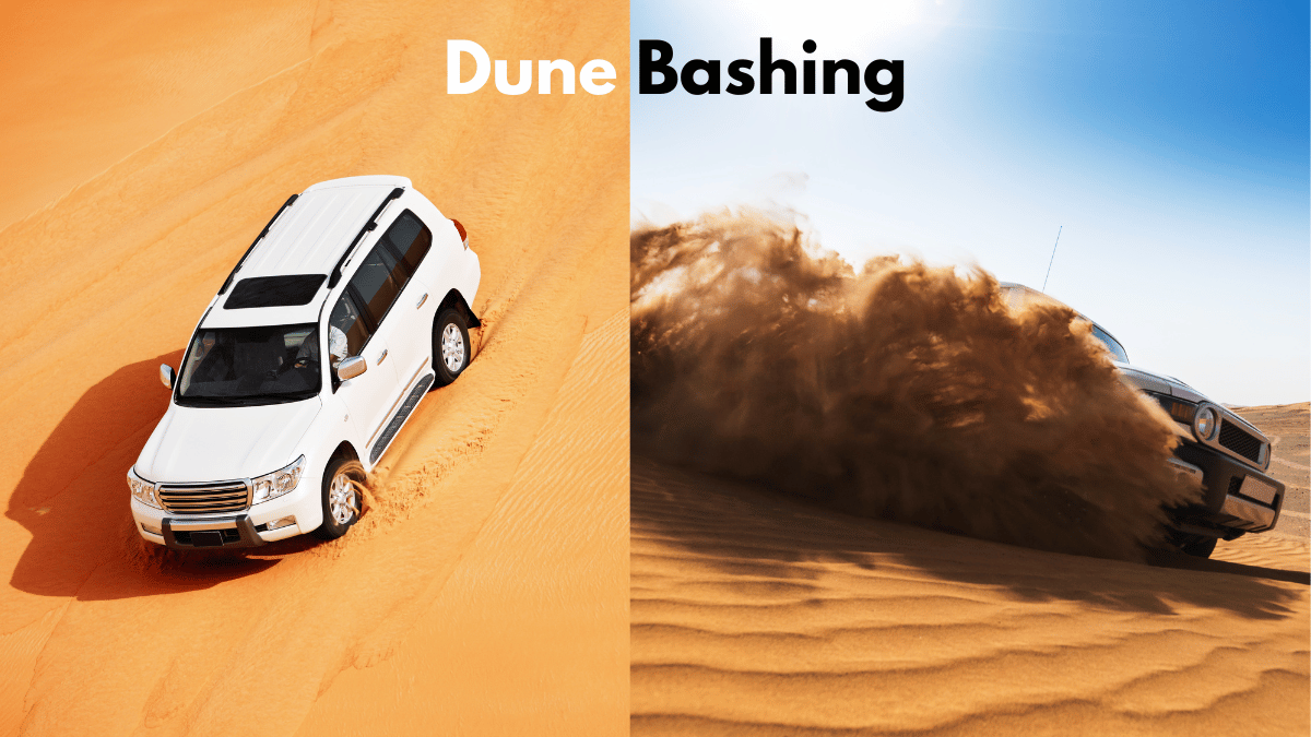 Dune Bashing Dune Bashing